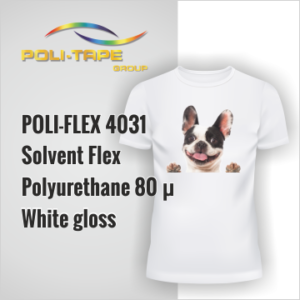 FD-GLOSS4031